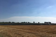 Feld-4
