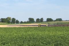 feld-2