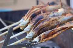 IMG-20250629-WA0091
