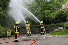 IMG-20240522-WA0012