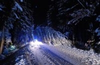 01.12.2023 – THL – Baum auf Fahrbahn