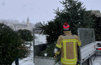 Christbaumsammelaktion 2026